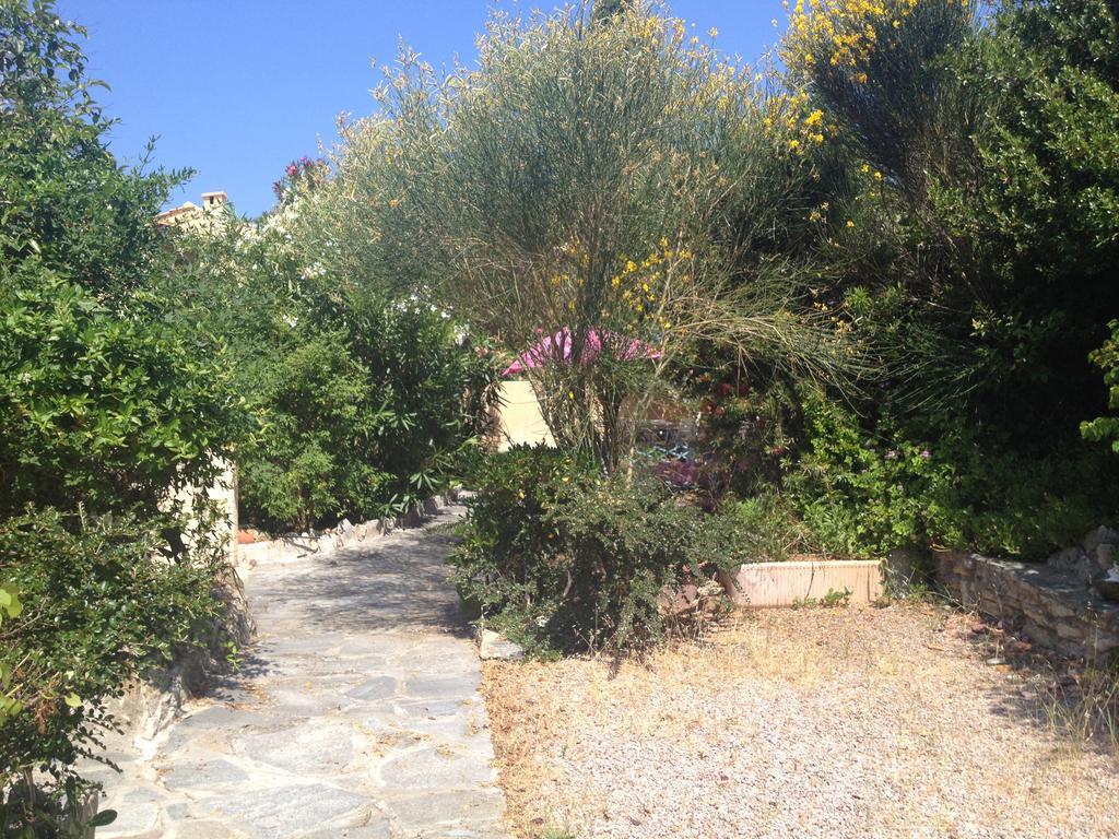 Studio Marine Du Soleil Patrimonio Dış mekan fotoğraf